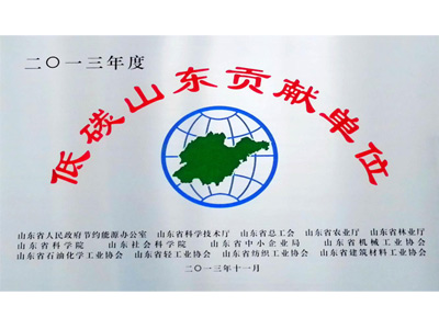 2013 Low Carbon Shandong Contribution Unit